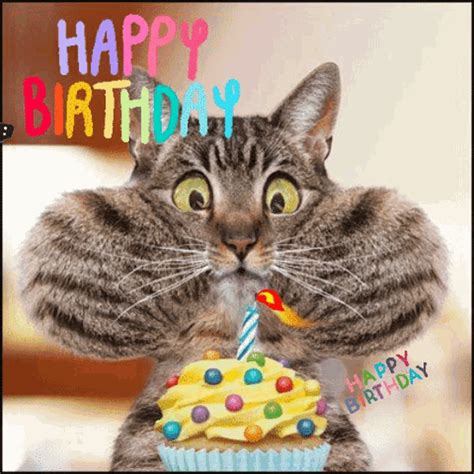 gif birthday|The Happy Birthday Gif